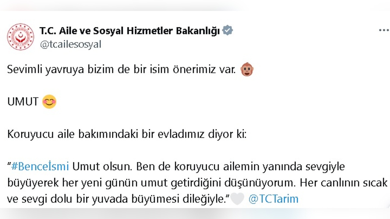 Yavru Goril İçin İsim Arayışı Başladı