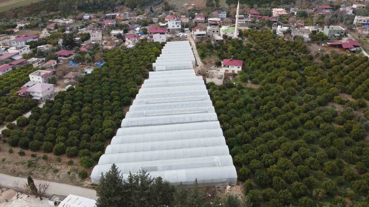 Adana'da Seracılık Faaliyetleri Büyüyor: 400 Metrekareden 30 Dönüme