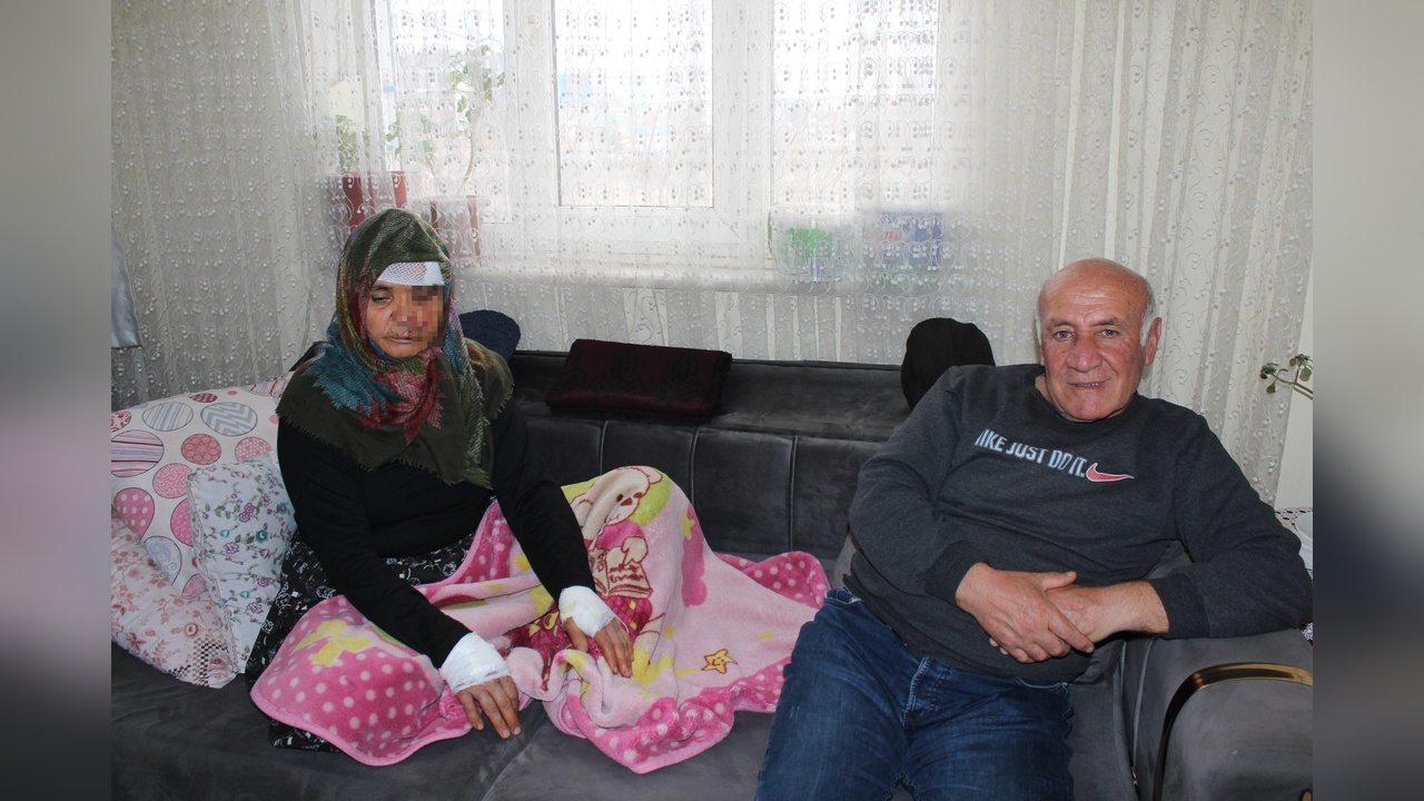 Kızının Köpeği Anne ve Babayı Saldırıya Uğrattı