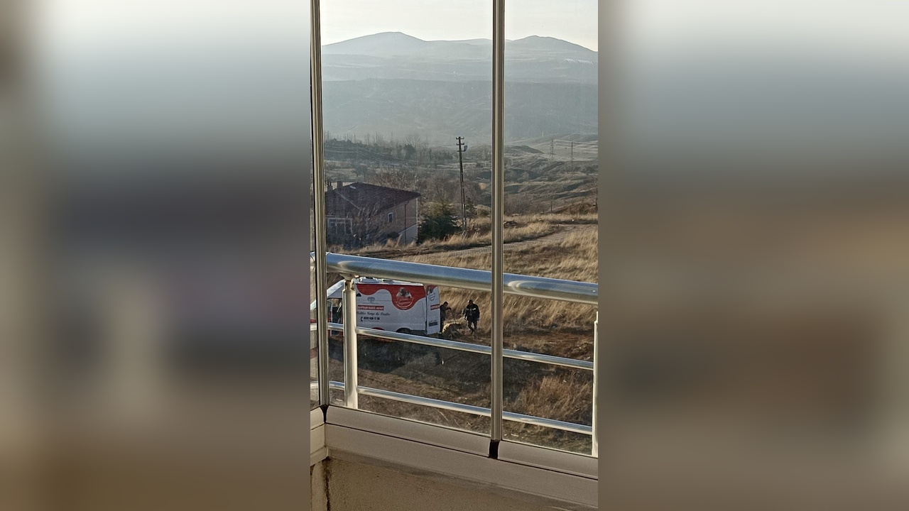 Ankara'da Sokak Köpekleri 13 Yaşındaki Çocuğa Saldırdı