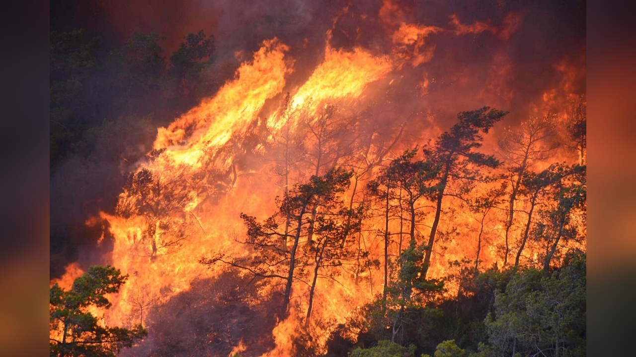 Muğla Orman Yangınlarında İnsan Faktörü Öne Çıkıyor