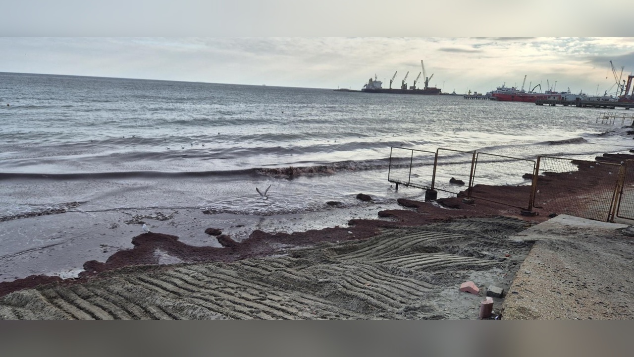 Tekirdağ Sahilinde Kırmızı Yosun Alarmı