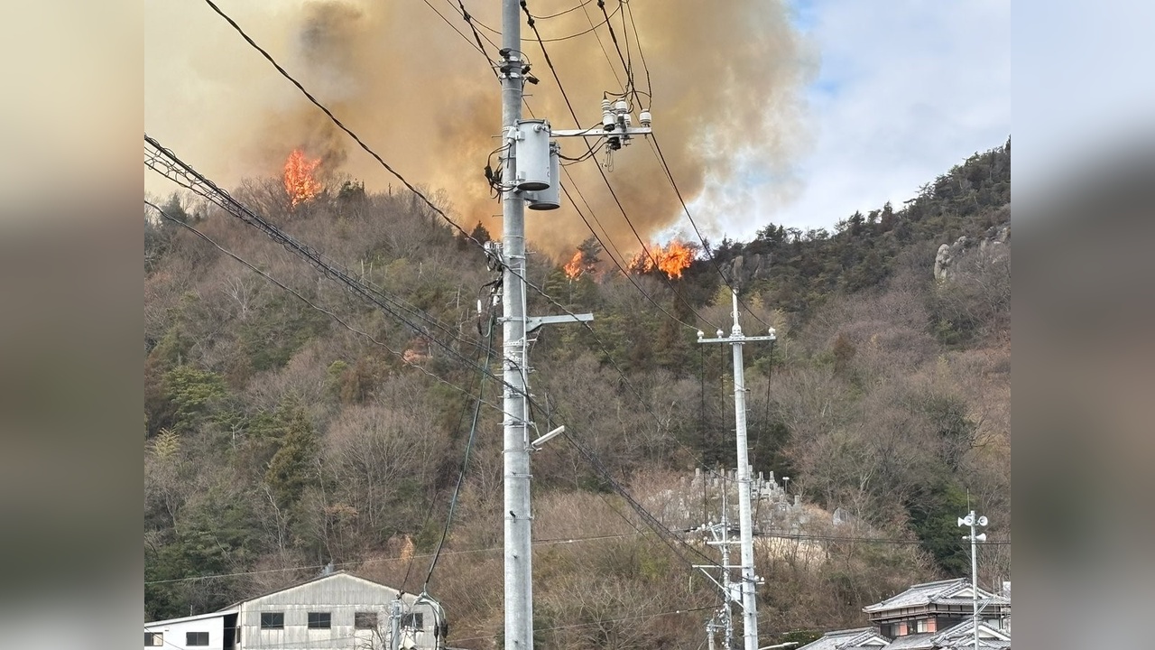 Japonya'da Orman Yangını Nedeniyle 150 Kişi Tahliye Edildi