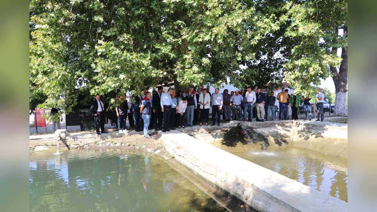 Edirne'de Sazan Balığı Yavrusu Üretiminde Rekor Kırıldı