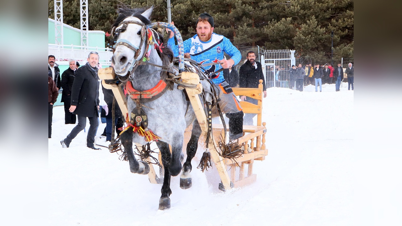 Erzurum'da Atlı Kızak Şampiyonası Coşkusu