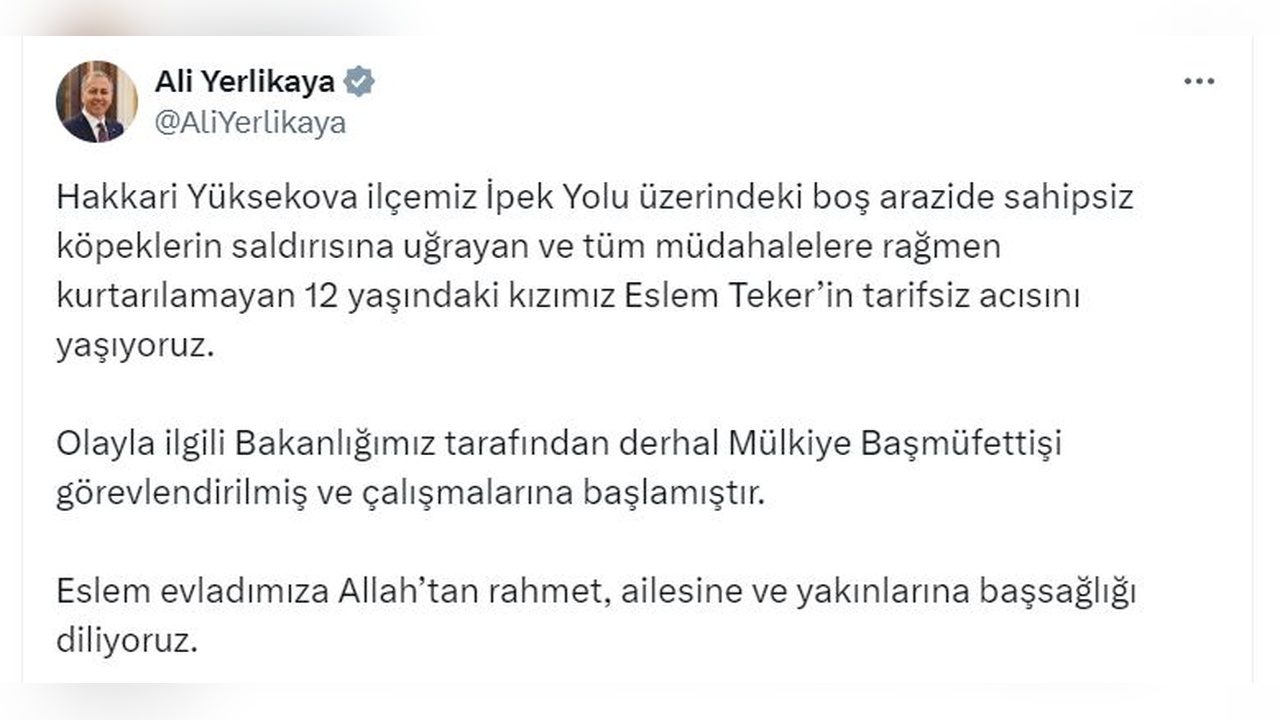 Hakkari'deki Köpek Saldırısı Üzerine Bakan Yerlikaya'nın Açıklamaları