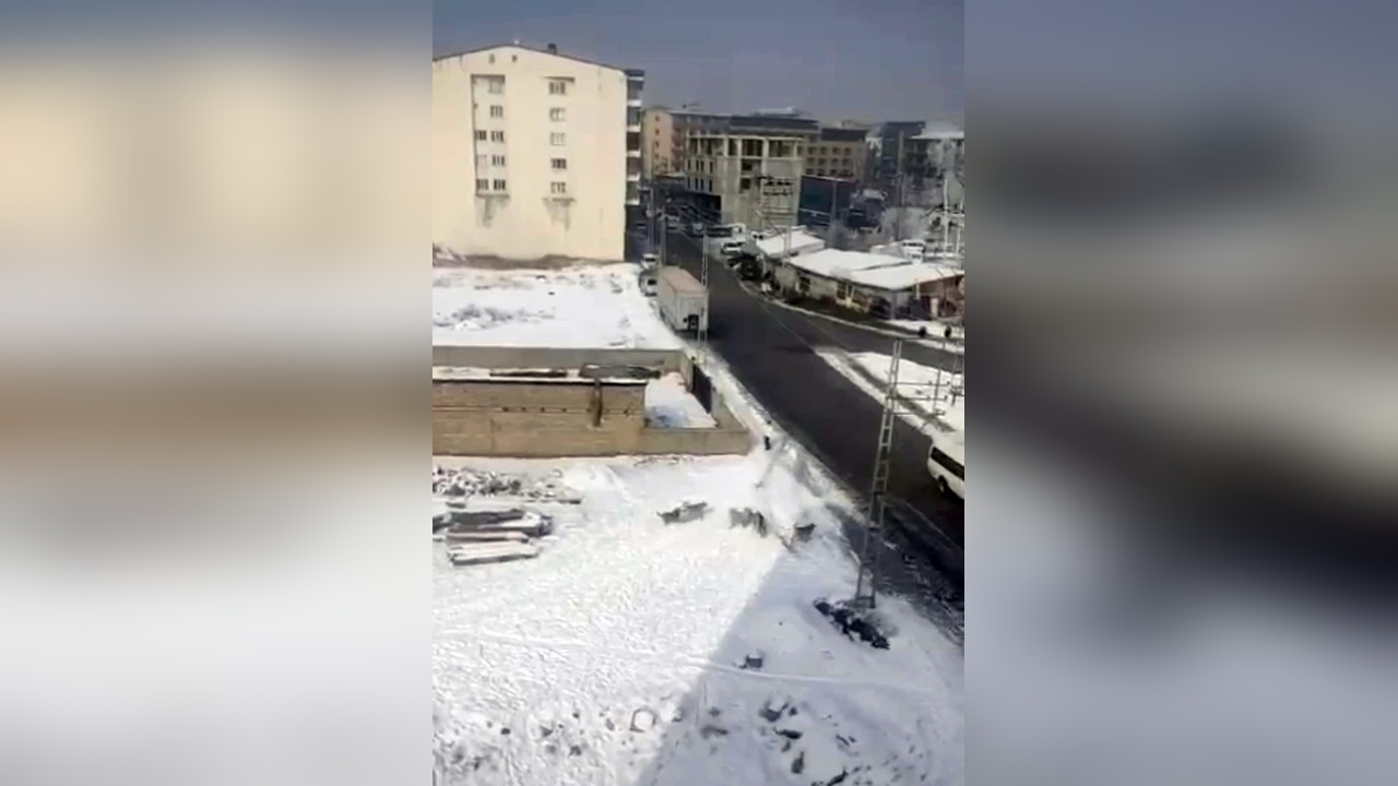 Yüksekova'da Öğrencilerin Sokak Köpekleri Tarafından Saldırıya Uğradığı Anlar Kaydedildi