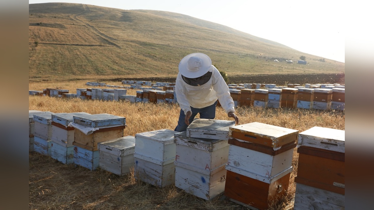 Eğitimlerle Hileli Balla Mücadelede 7 Bin Arıcıya Ulaşıldı