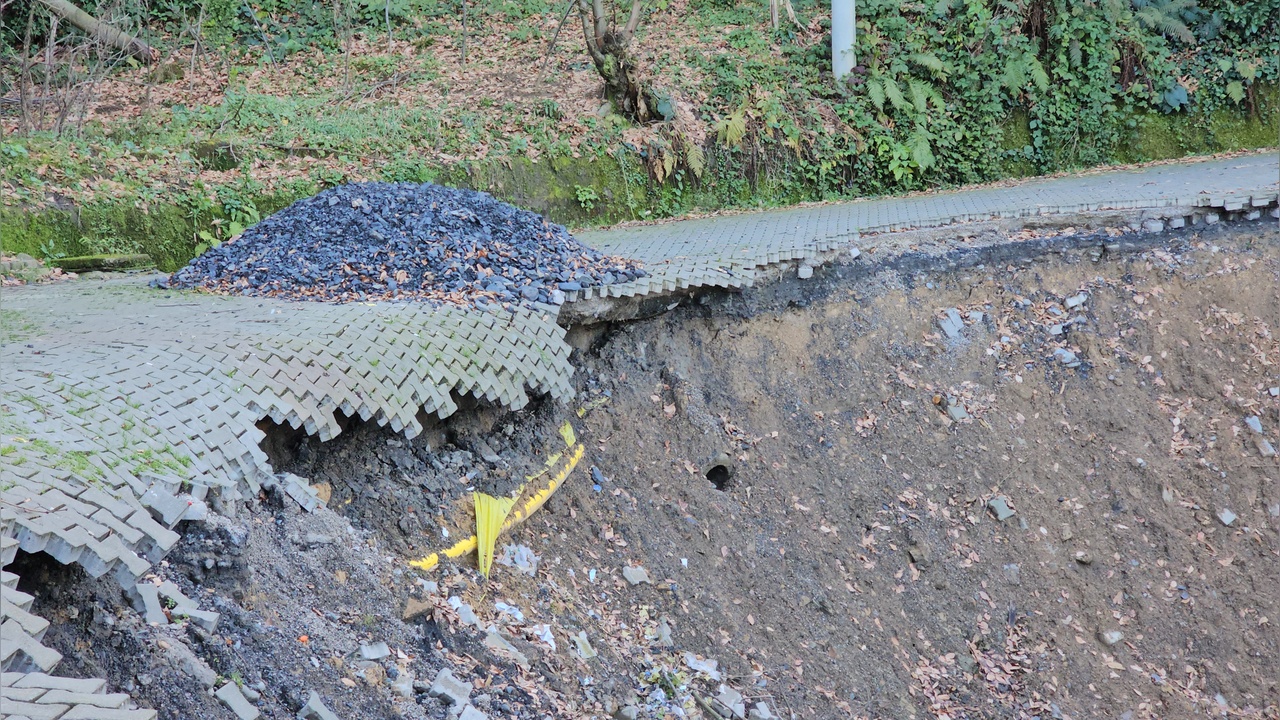 Heyelan, İstinad Duvarı ve Ağaçları Yuttu