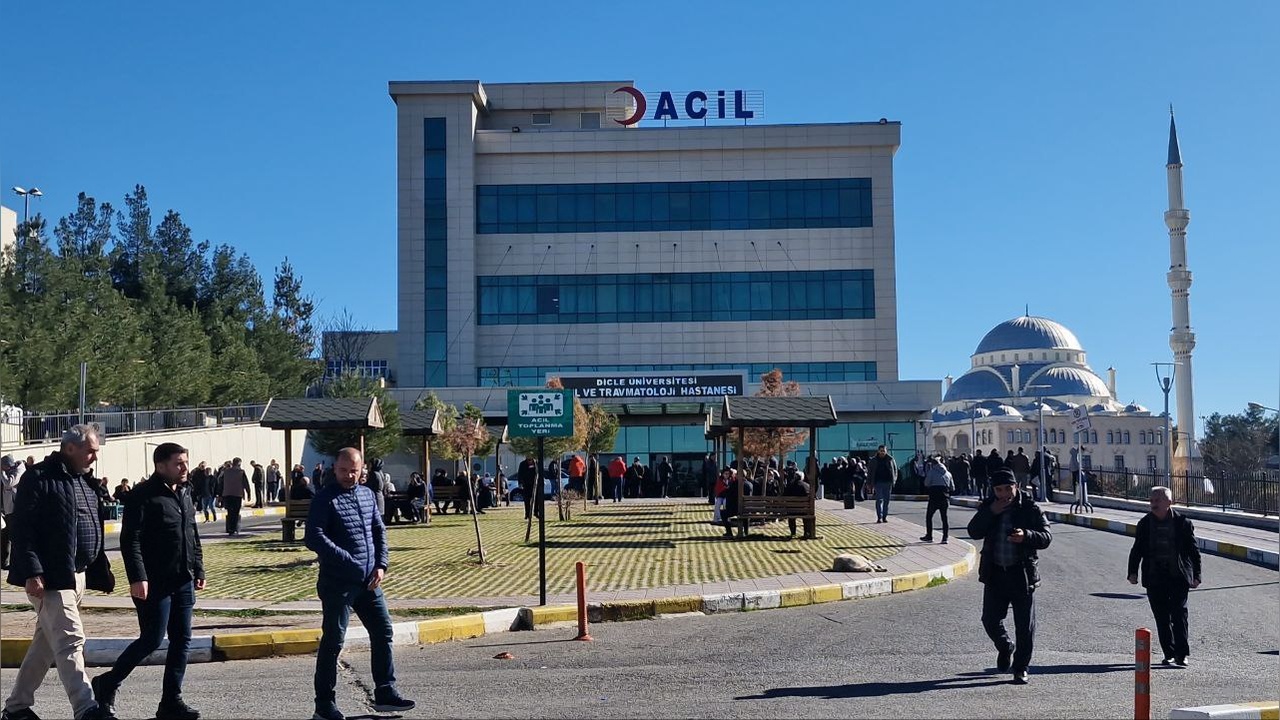 Sokak Köpeği Saldırısı: 5 Yaşındaki Çocuk Yaralandı