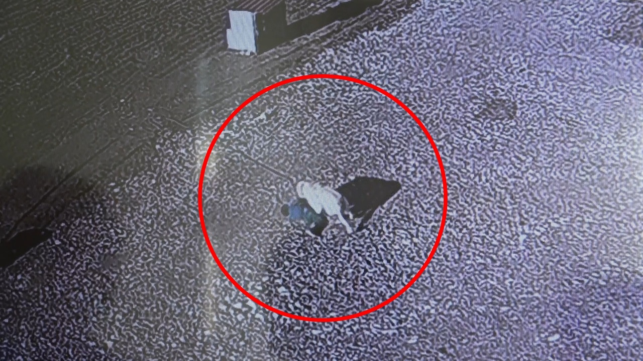 Sokak Köpeği Saldırısı: 5 Yaşındaki Çocuk Yaralandı