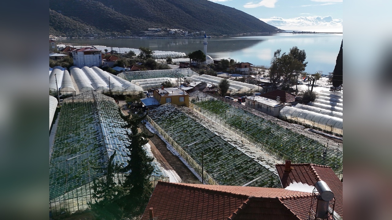 Şiddetli Hava Koşulları 200 Dönüm Serayı Vurdu