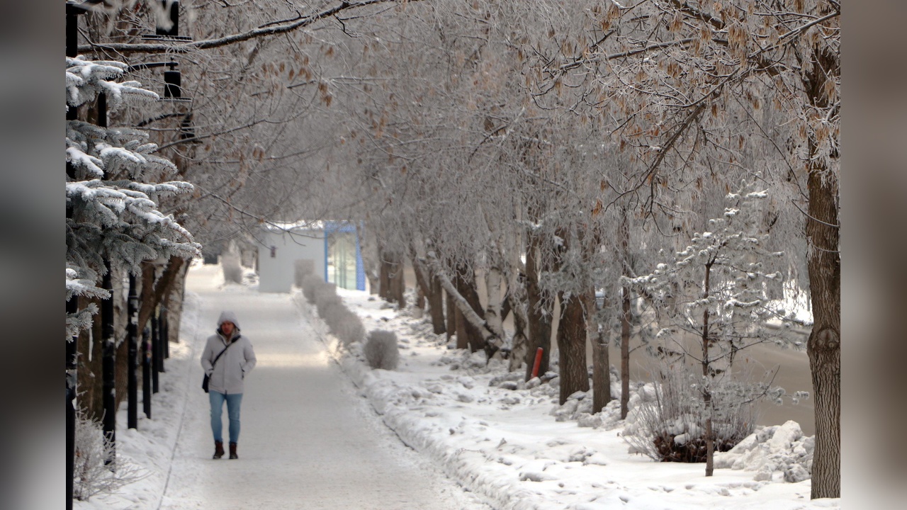 Erzurum'da Soğuk Hava Koşulları Devam Ediyor