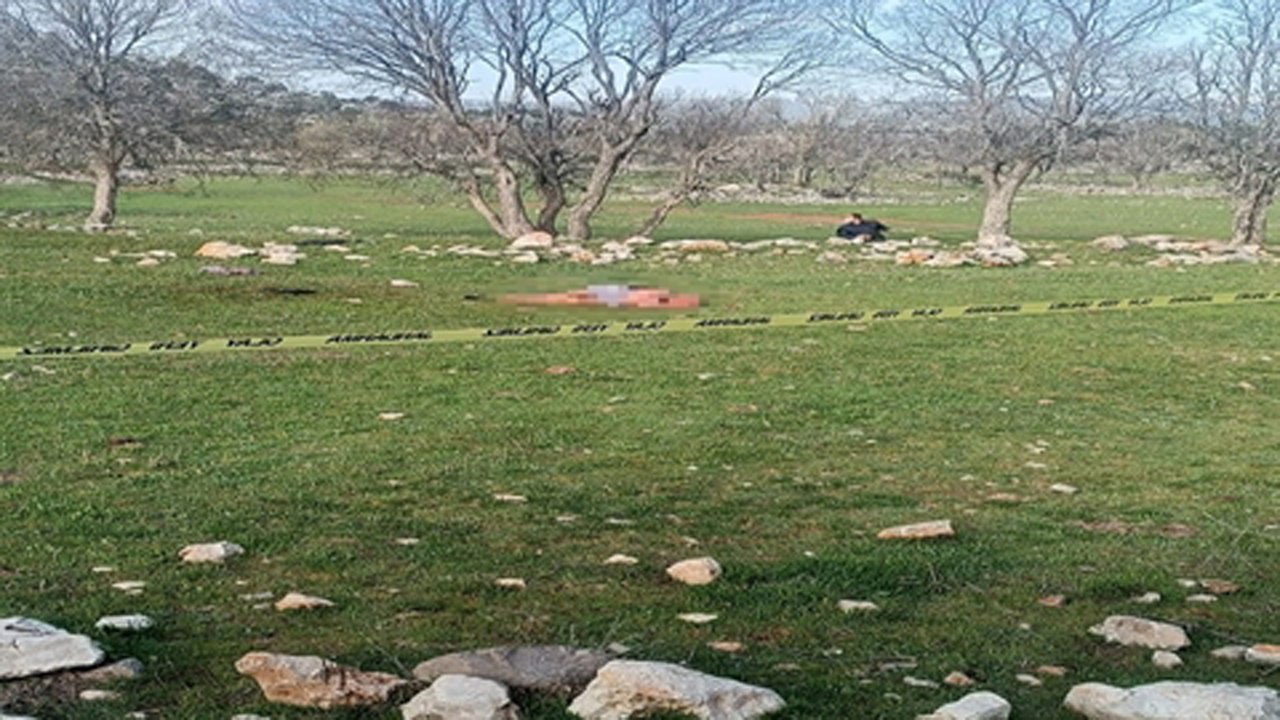 Köpek Saldırısı Davasında Sahibe Hapis Cezası