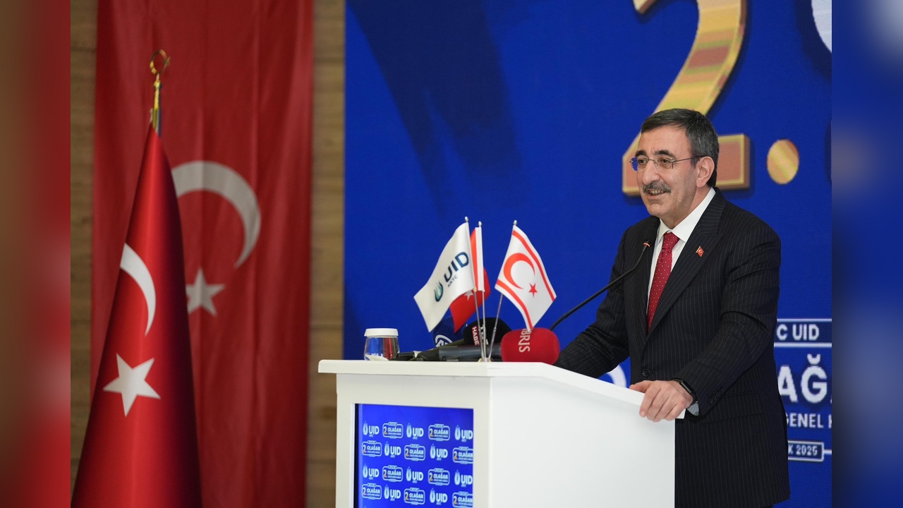 Cumhurbaşkanı Yardımcısı Yılmaz'dan İki Devletli Çözüm Vurgusu