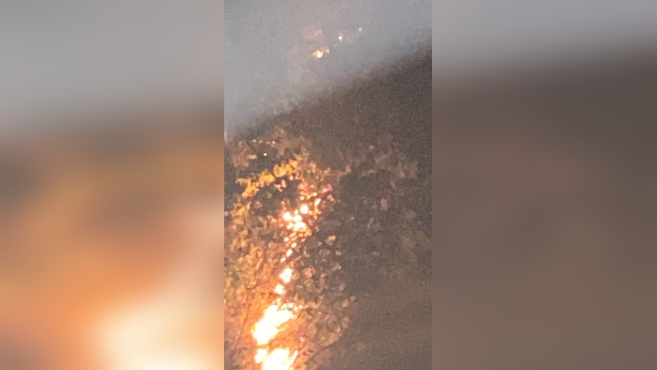 Rize'de Anız Yangını Ormanlık Alana Sıçradı