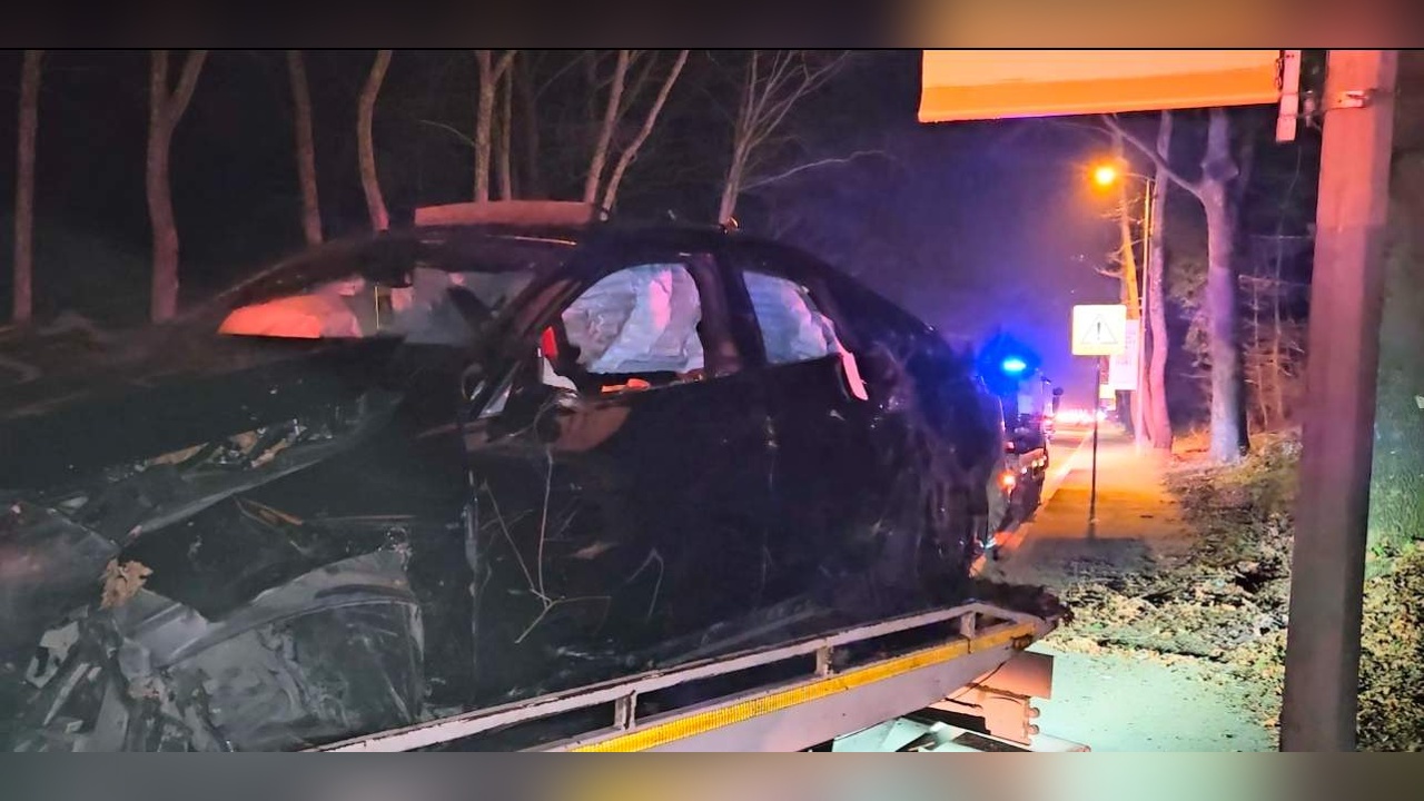 İstanbul'da Kontrolden Çıkan Araç Ormana Girdi: Bir Yaralı