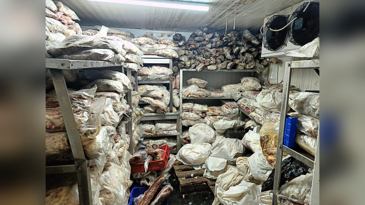 İzmir'de Bozuk Et ve Balık Operasyonu: 3,8 Ton Ele Geçirildi
