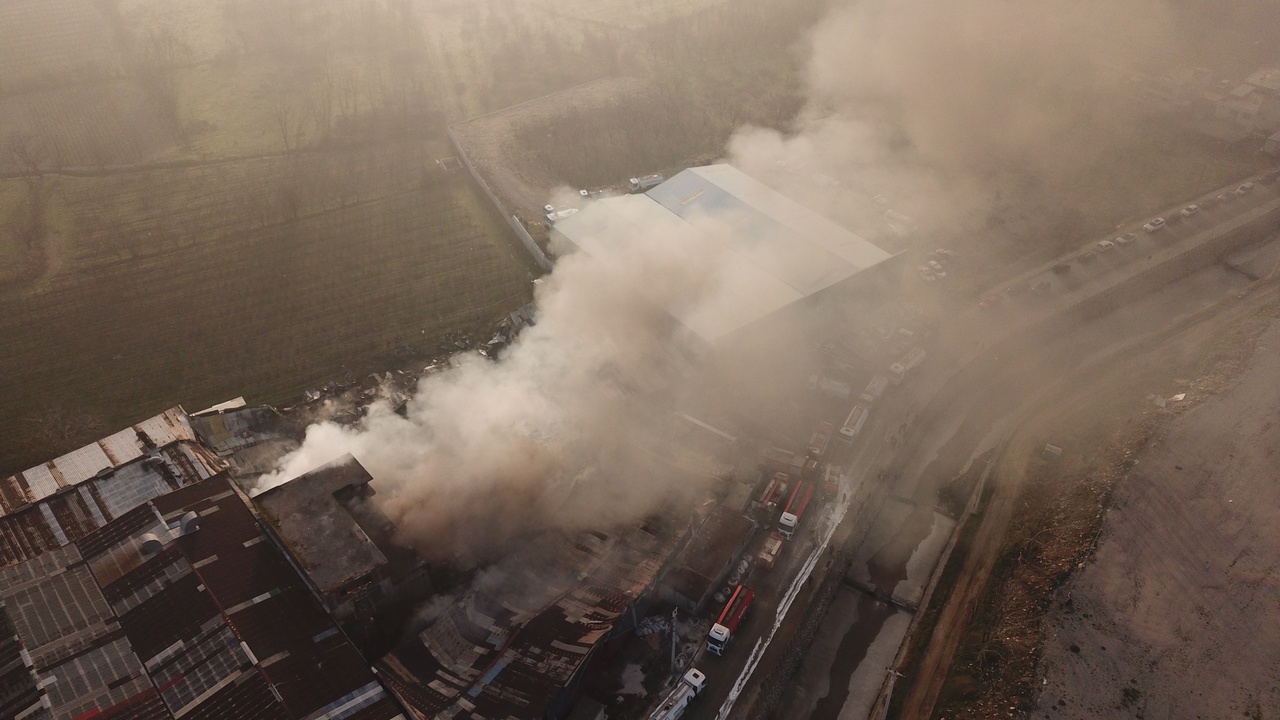Bursa'da Fabrika Yangınında Yavru Kedi Kurtarıldı