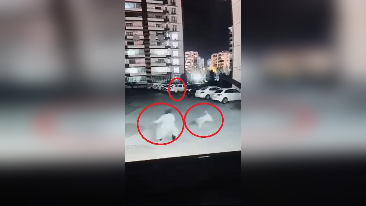 Sokak Köpeği Siteye Girdi, Anne ve Çocuğuna Saldırdı