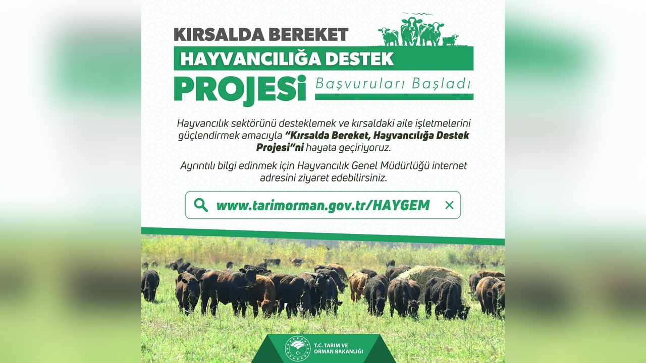 Kırsalda Bereket Projesi ile Hayvancılığa Yeni Destekler Geliyor