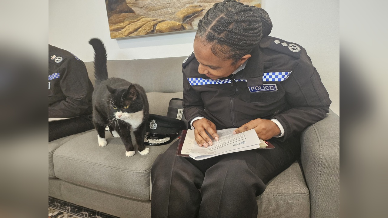 Palmerston, Bermuda'daki Yeni Görevine Adım Attı