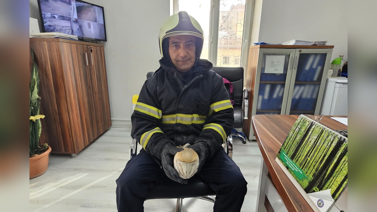 İtfaiye, Su Saatine Sıkışan Baykuşu Kurtardı
