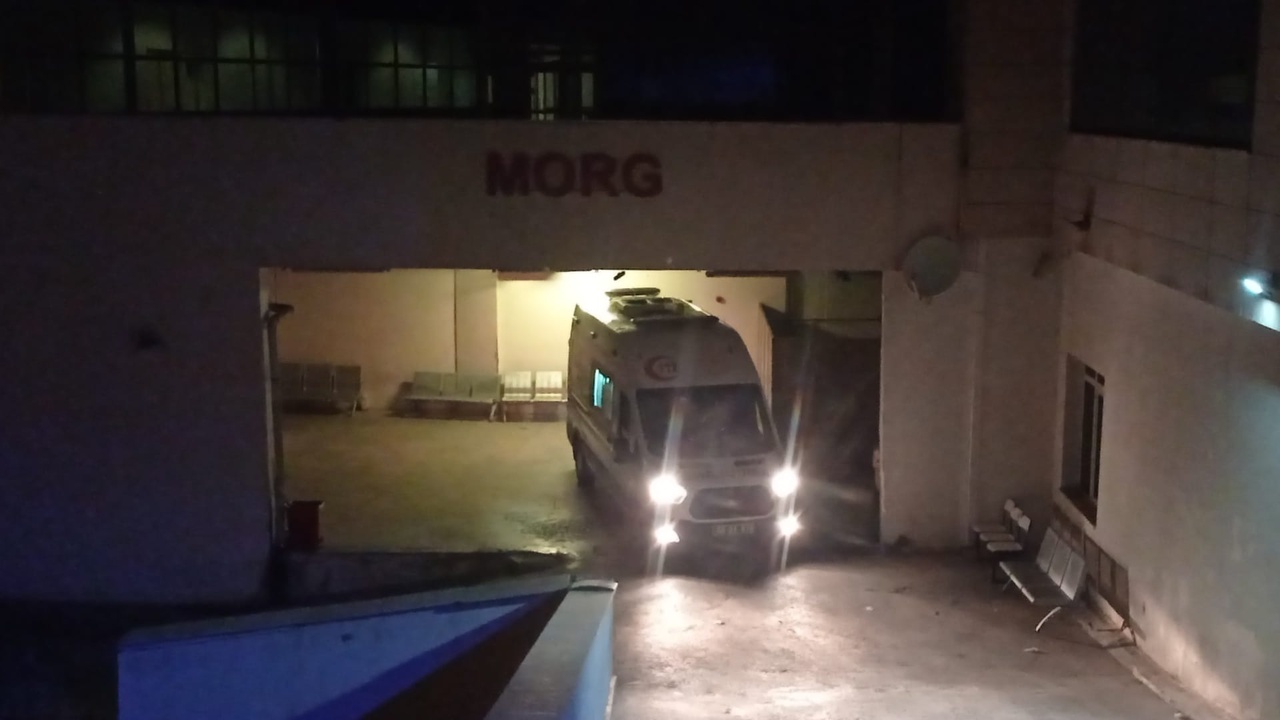Köpeğe Çarpmamak İçin Manevra Yapan Sürücü Devrildi: 1 Ölü, 2 Yaralı
