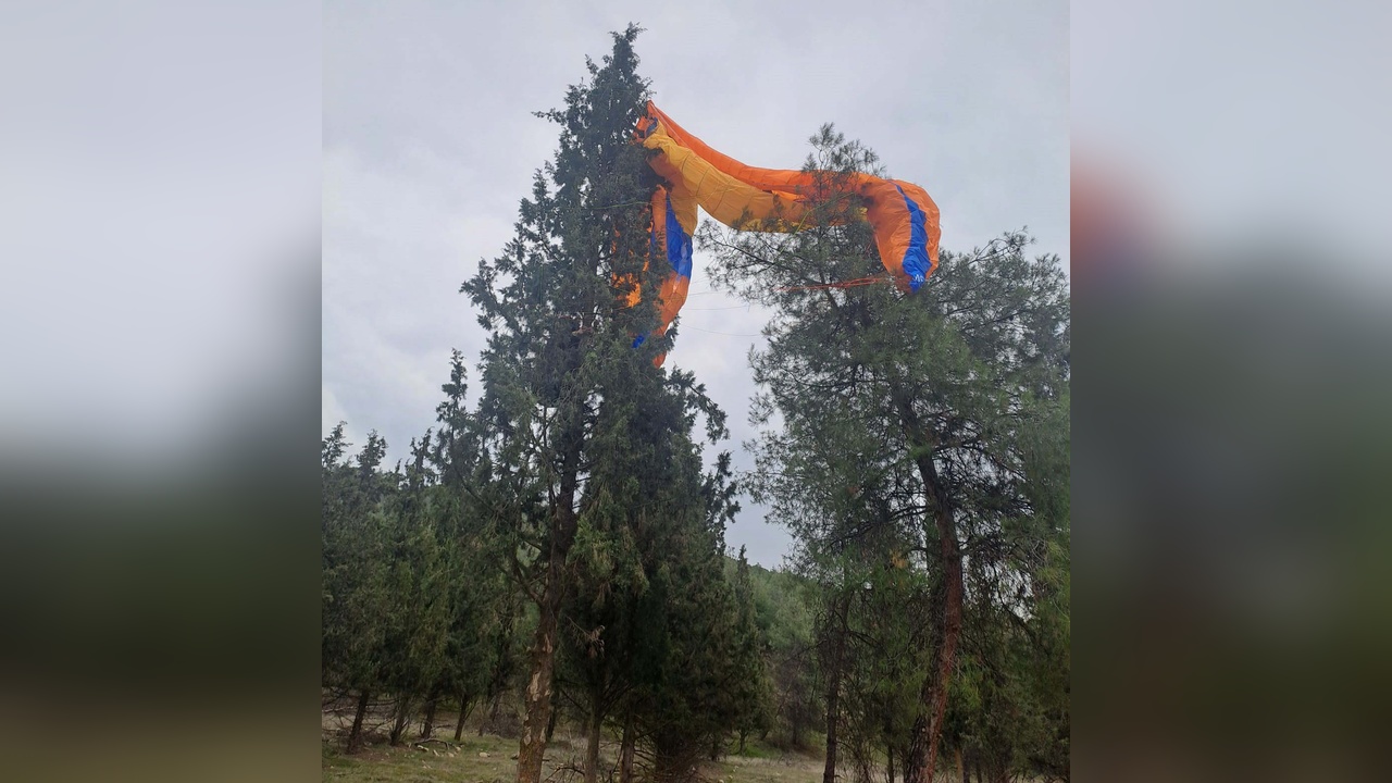 Ağaçta Takılı Paraşüt Kurtarıldı