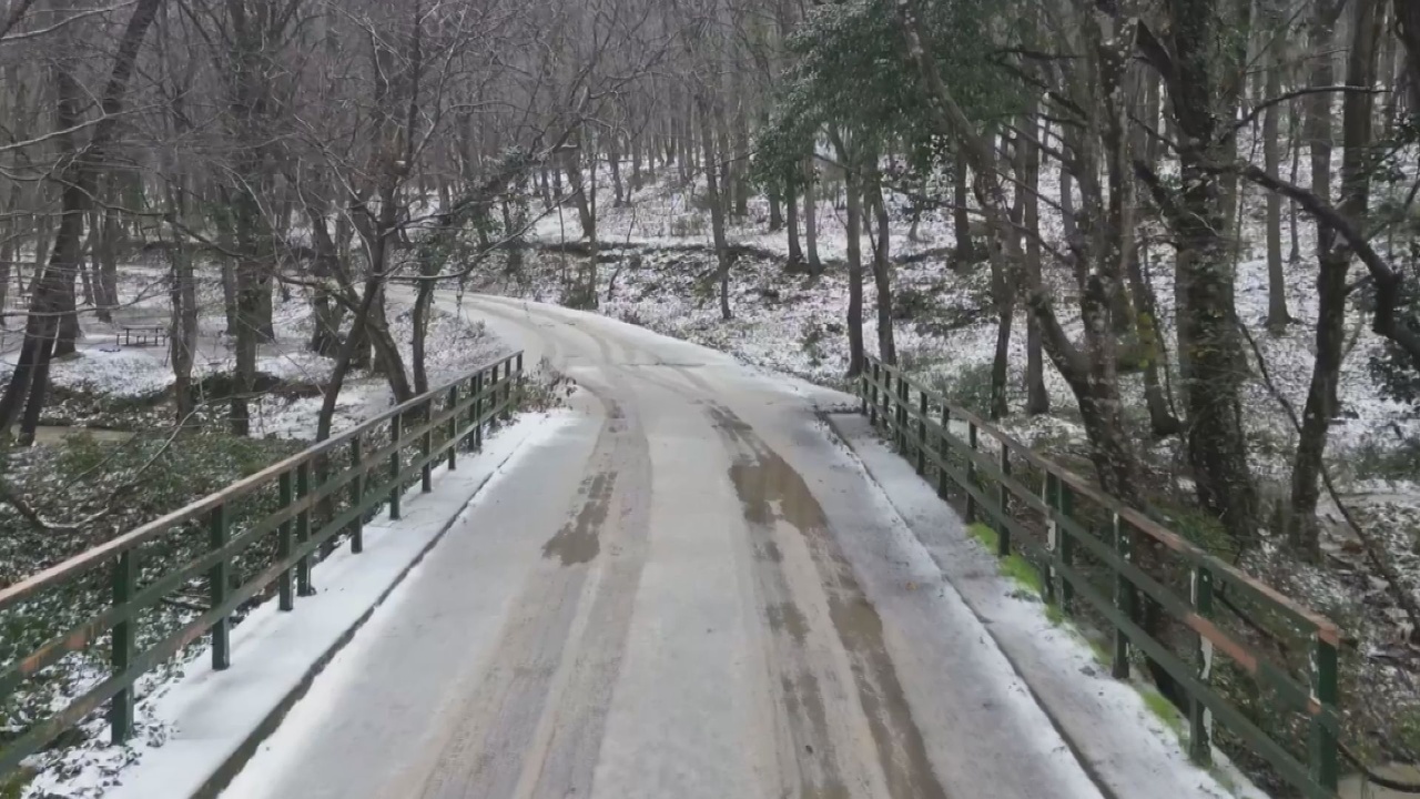 Çokçetin, Belgrad Ormanı'ndaki Gelişmeleri Duyurdu
