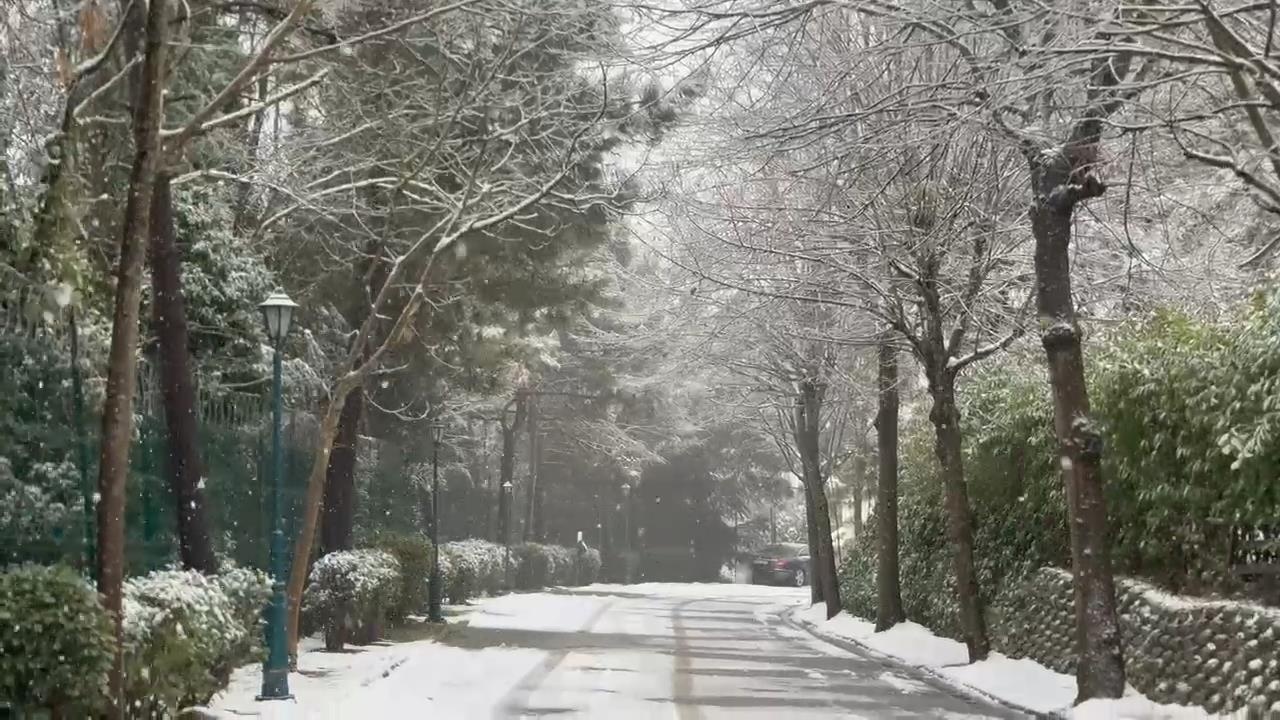 İstanbul'da Kar Yağışı Etkisini Gösteriyor: Çamlıca Tepesi Beyaza Büründü