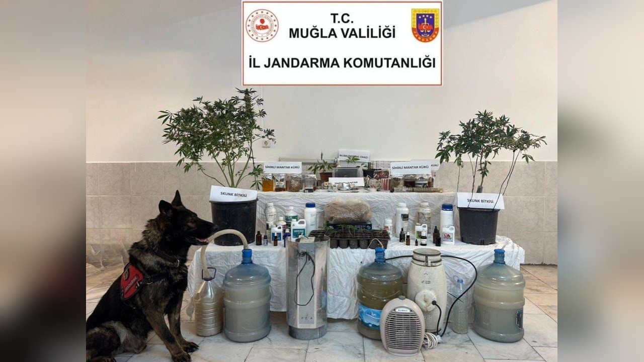 Muğla'da Uyuşturucu Operasyonu: Bir Kişi Gözaltında