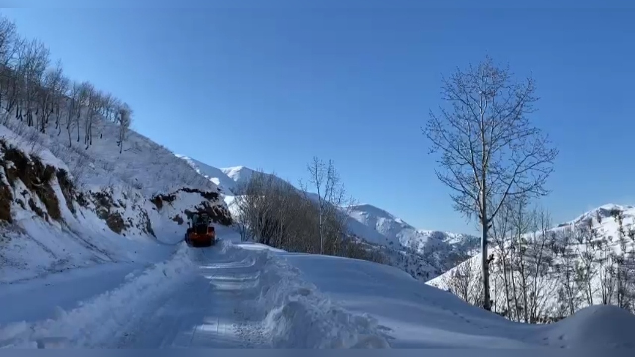 Batman'da Kış Şartları Hayatı Olumsuz Etkiliyor