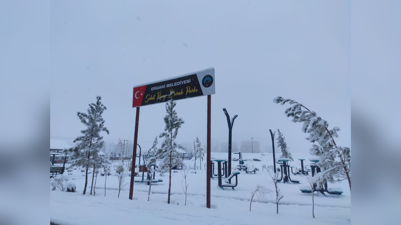 Diyarbakır'da Kar Yağışı Hayatı Olumsuz Etkiledi
