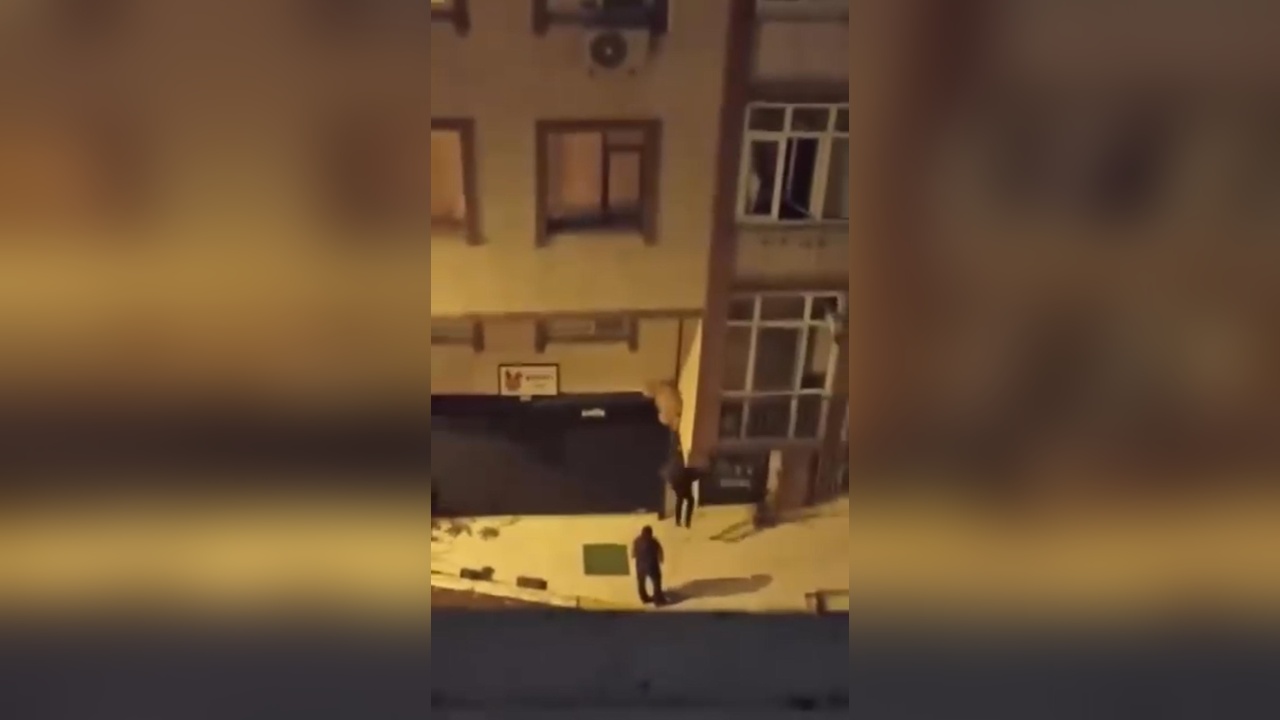 Şişli'de Oyuncak Ayı Hırsızlığı: 'Beğendim Aldım' Açıklaması