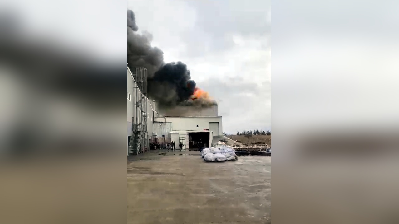 Edirne'de Fabrika Yangını Paniğe Neden Oldu