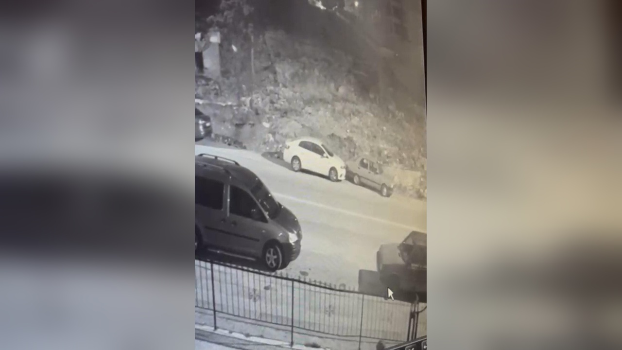 Yokuşta Park Halindeki Araç Hareket Etti, Kaza Anı Kamerada