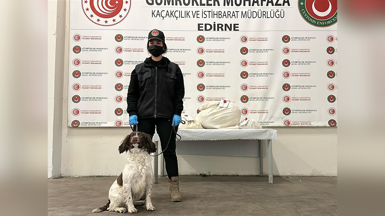 Kapıkule Sınır Kapısı'nda Uyuşturucu Operasyonu: 'Jeff' Başarılı Oldu
