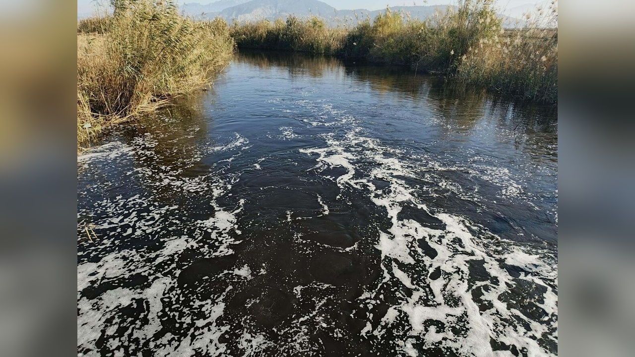 Büyük Menderes Nehri Kirlilik Nedeniyle Siyah Renk Aldı