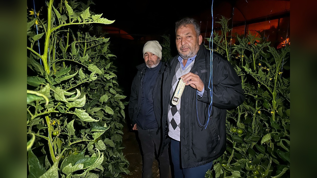 Mersin'de Üreticiler Zirai Don Tehlikesine Karşı Nöbette