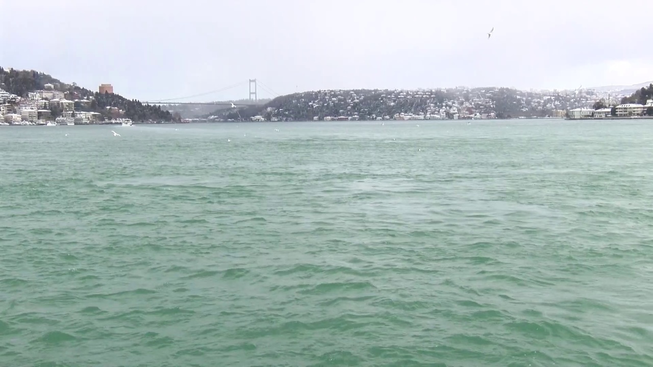 İstanbul Boğazı'nda Gemi Trafiği Durduruldu
