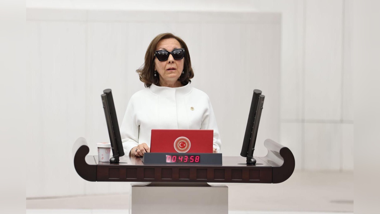 Serap Yazıcı Özbudun, Gelecek Partisi'ndeki görevinden ayrıldı