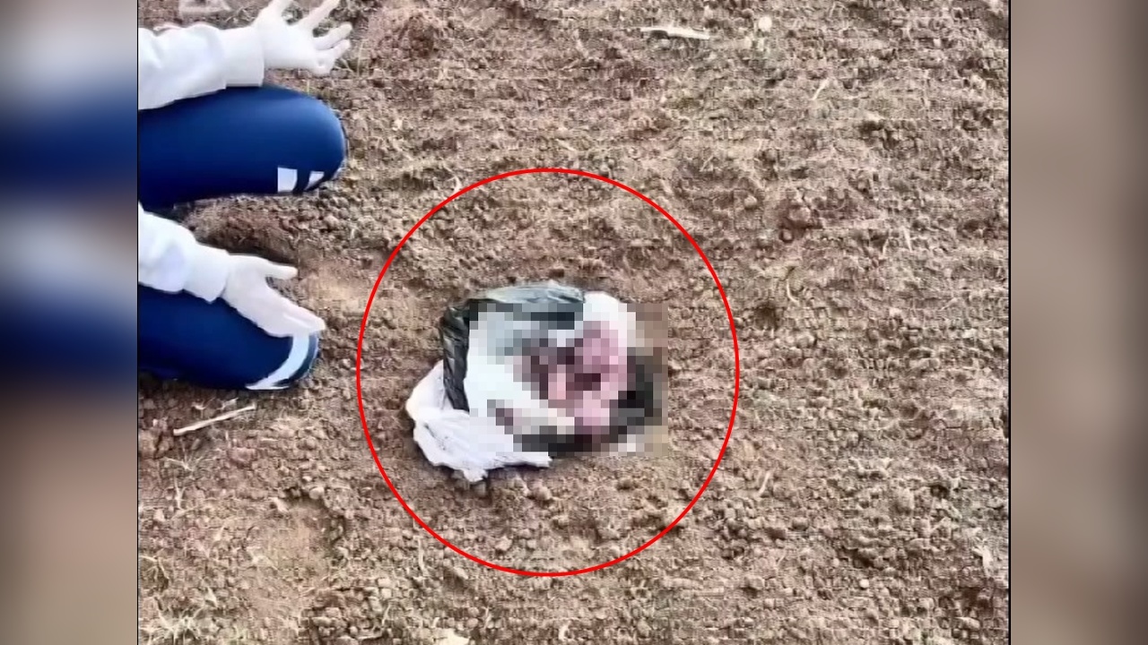 Şırnak'ta Poşette Yeni Doğmuş Bebek Cesedi Bulundu