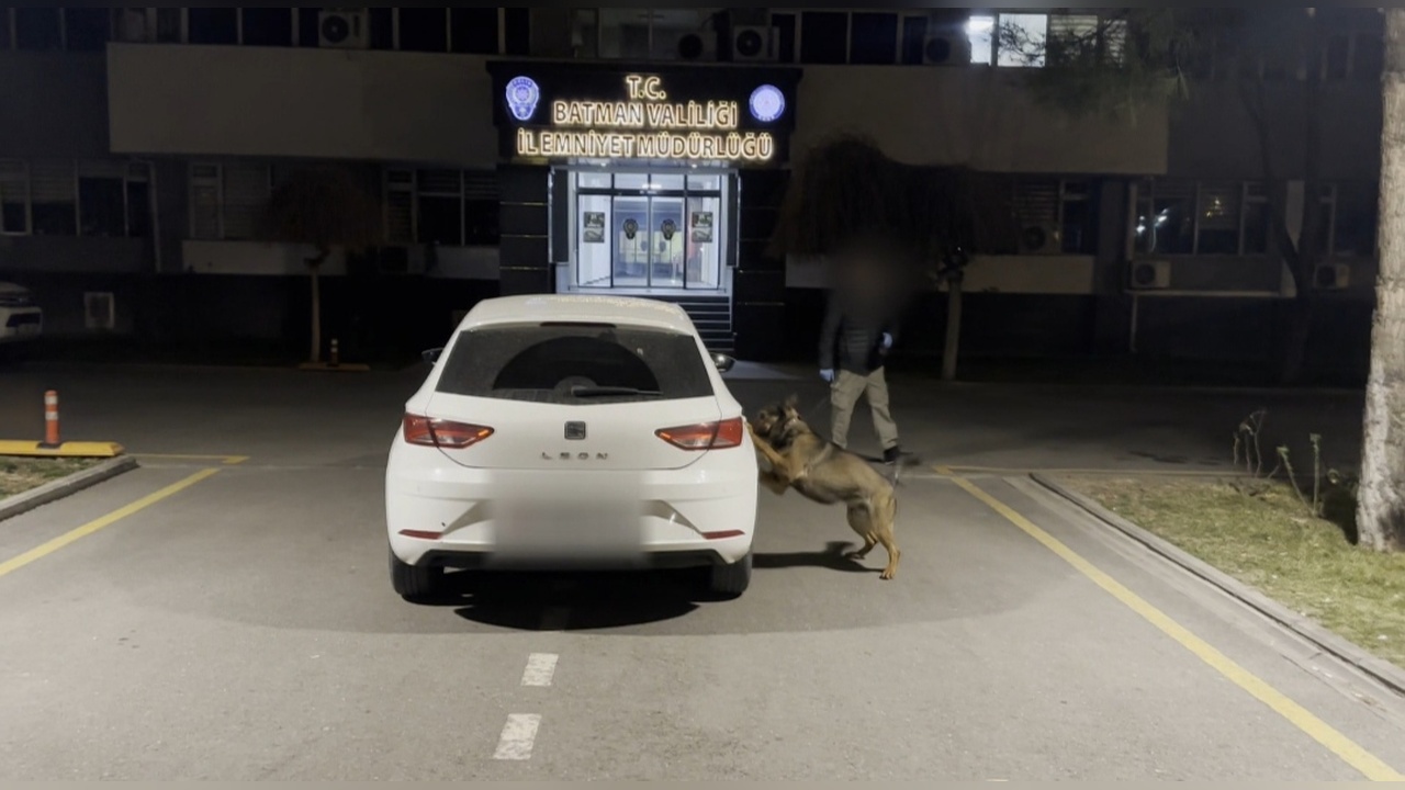 Uyuşturucu Operasyonunda 'Mailo' Başarı Gösterdi