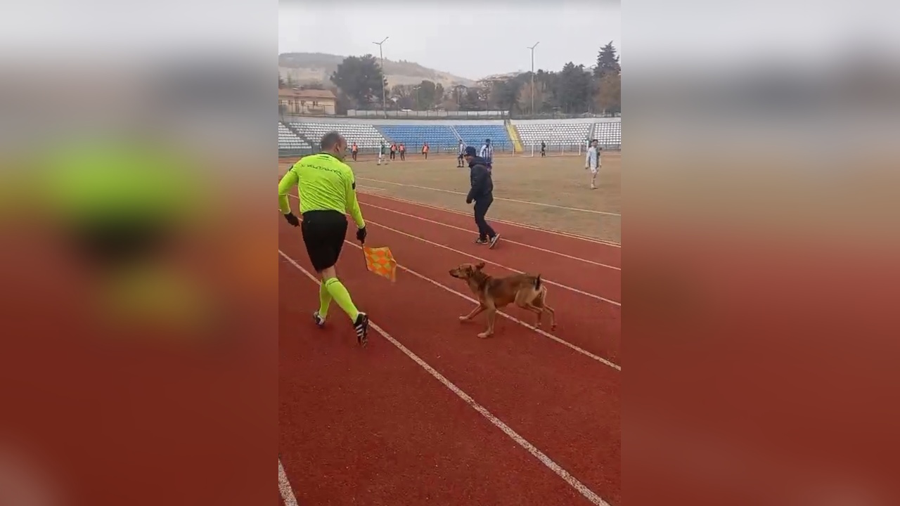 Yan Hakem, Sahaya Giren Köpeği Uzaklaştırdı
