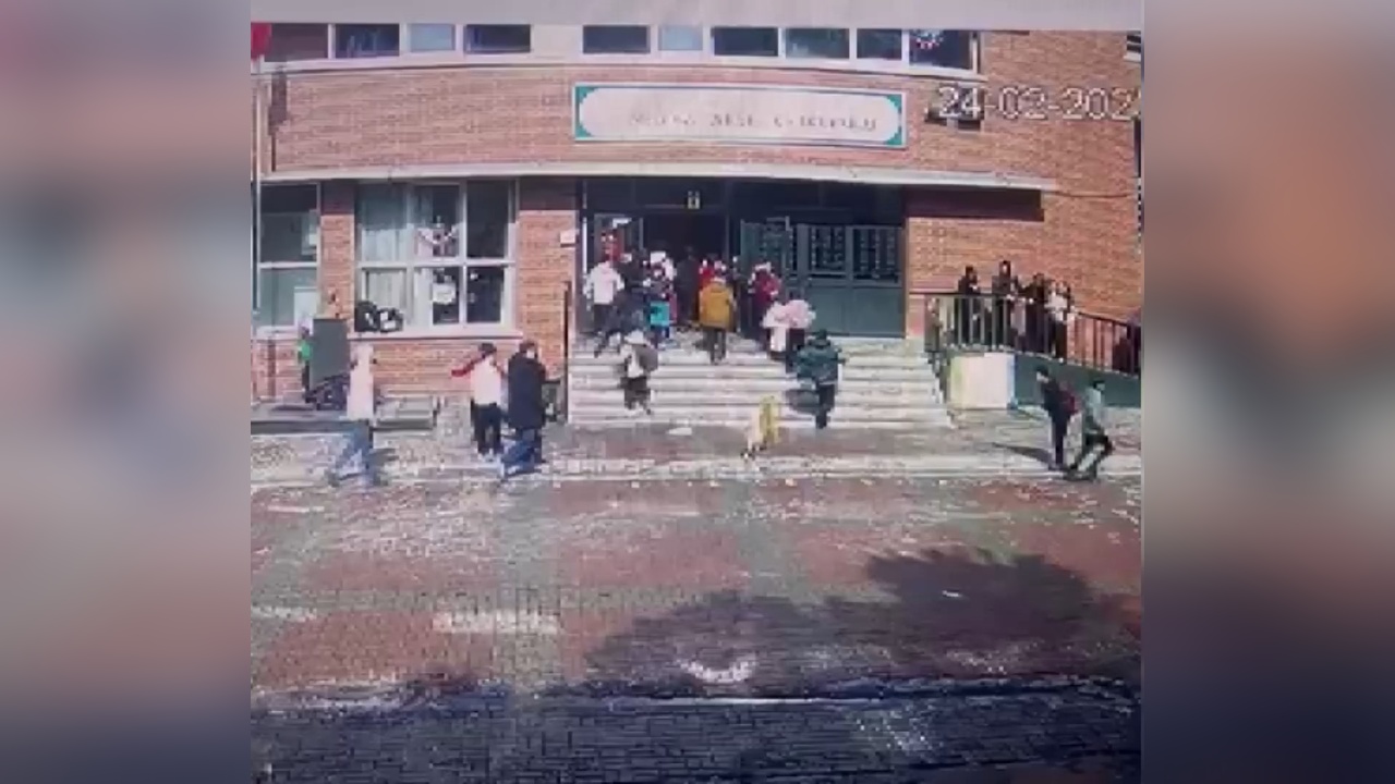 Ümraniye'de Okul Bahçesinde Köpek Saldırısı: Sahibi Gözaltında