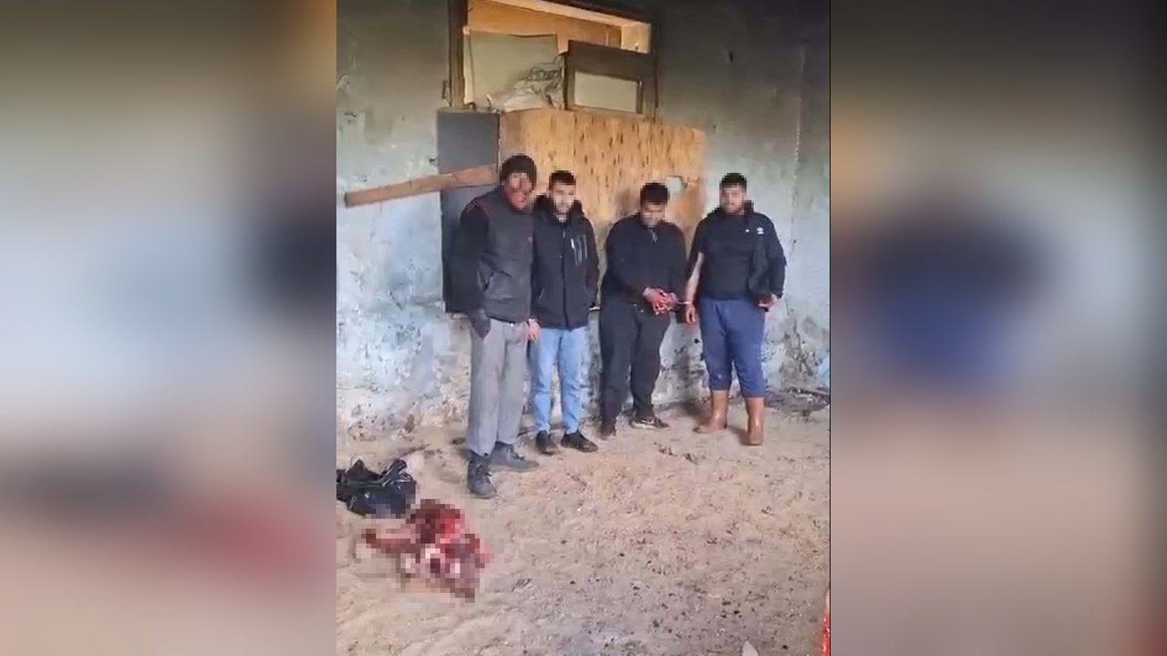 İzmir'de At Kesimi Sırasında Suçüstü Yakalandılar