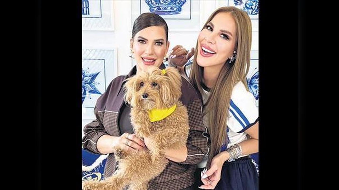 Köpeğine Sahip Çıkmak İçin Evini Bırakamayan Kadın
