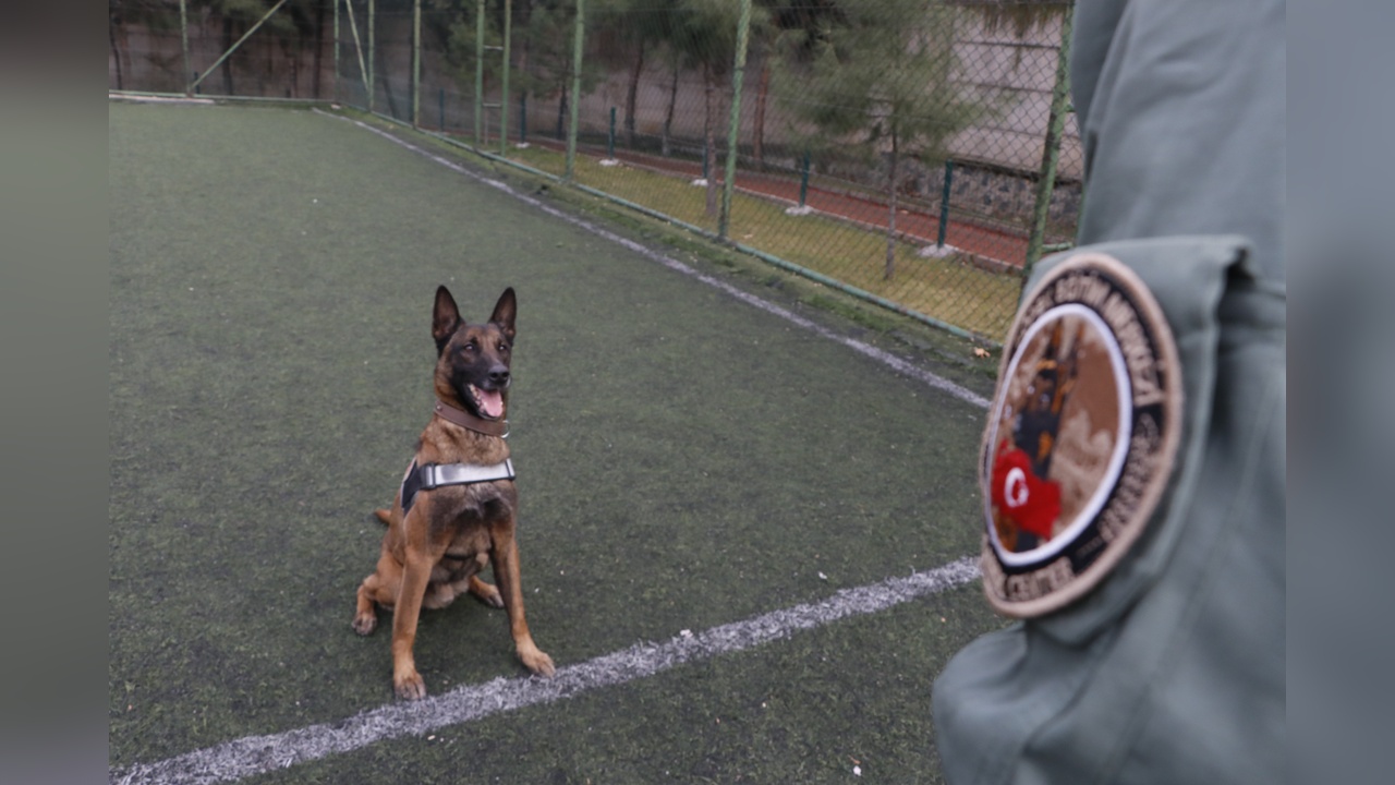 Yurt Dışına Çıkarken Verilen 'Risko' Narkotik Köpeği Uyuşturucu Operasyonlarında Başarı Sağladı