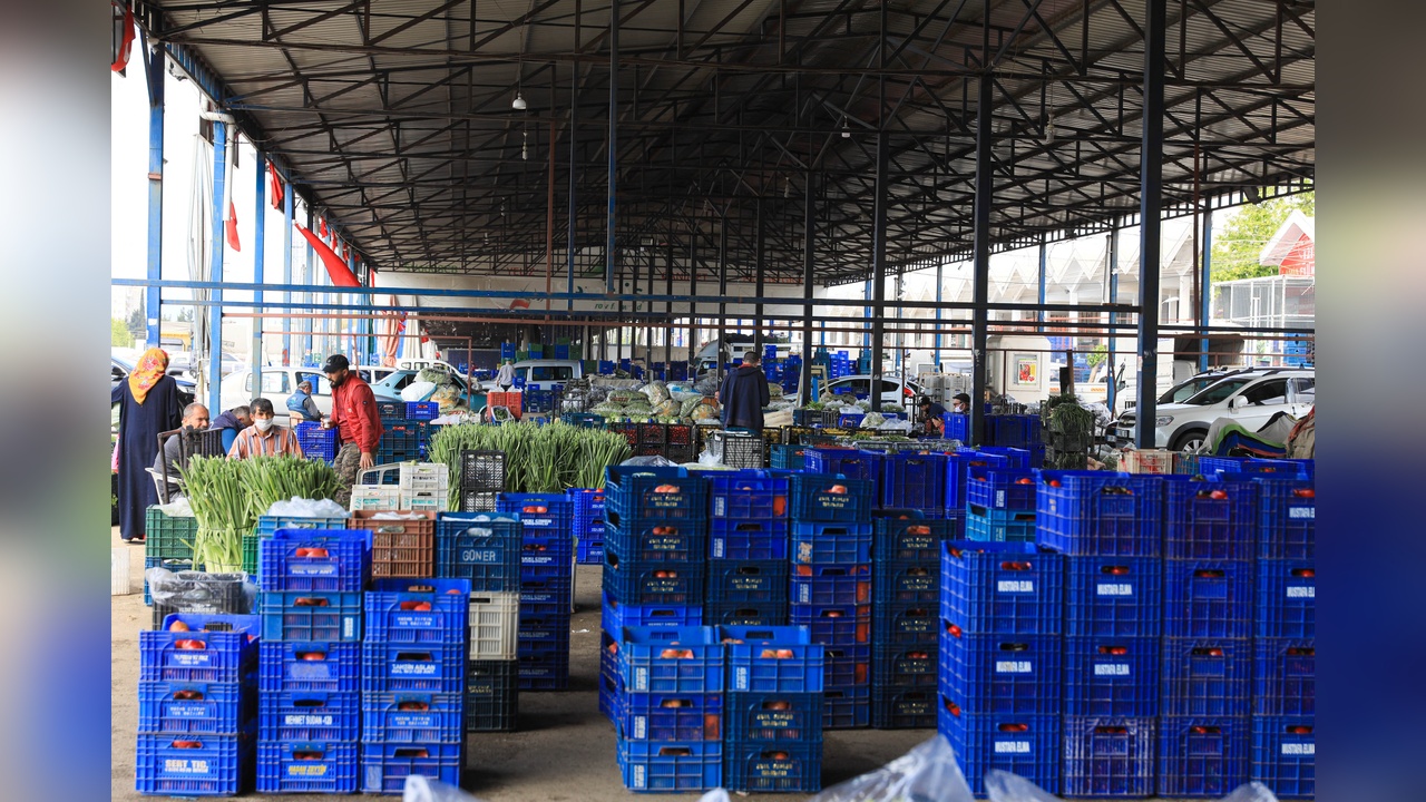 Soğuk Hava Seraları Olumsuz Etkiledi, Ürün Fiyatları Yükseldi